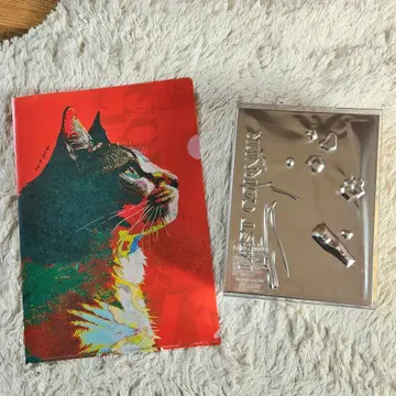 최초 한정 영상반 LOST CORNER 요네즈켄시 앨범