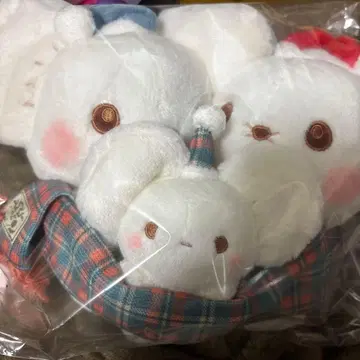 포켓몬 하트워밍 크리스마스 이카쥐