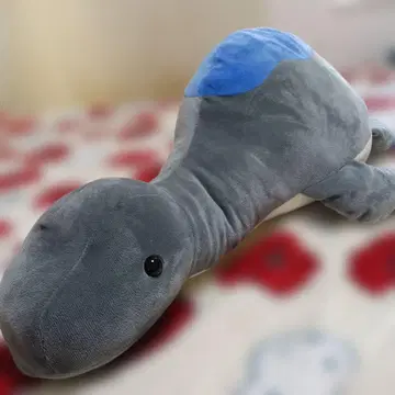 공룡시대 네소베리 네이처 울트라 BIG 후타바 스즈키류