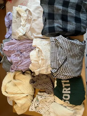 사만사 모스모스 묶음 판매