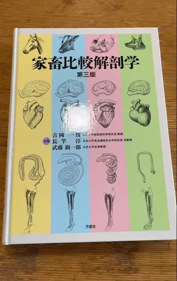 12/20까지 가축 비교 해부학