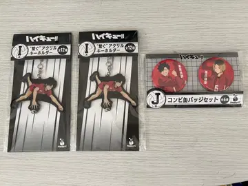 Happy복권 하이큐 아크릴 키링&캔뱃지 세트