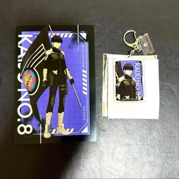 괴수 8호 플래그 호시나