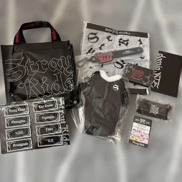 stray kids 월드 투어 업그레이드 혜택