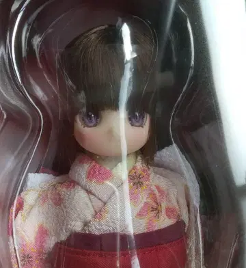 레어*1/6 아이리스 콜렉트 푸치 신년 2026 미라 Mira