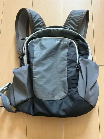 Pacsafe Venturesafe 10L GII