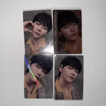 &TEAM ME 니콜라스 트레이딩 카드 weverse 팝업