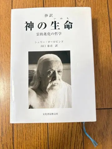 신의 생명 영적 진화의 철학