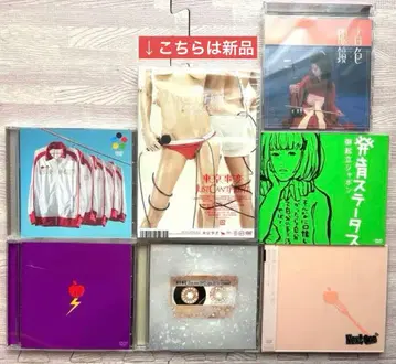 시이나 링고 도쿄 사건 DVD 세트