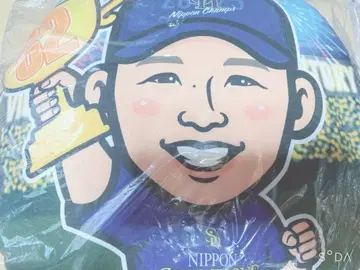 와카타카 가챠 호크스 우노 류지 쿠션