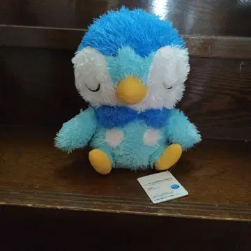 포켓몬 포근하게 휴식 타임 봉제 인형 꼬부기 팽도리