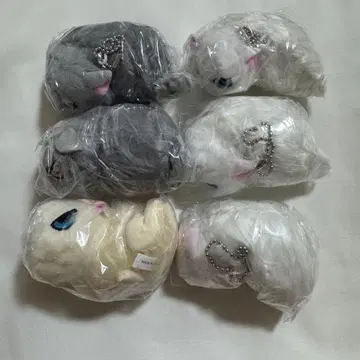 따르지 않는 고양이 봉제 인형 6개 세트