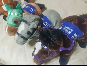 서러브레드 컬렉션 3두 세트