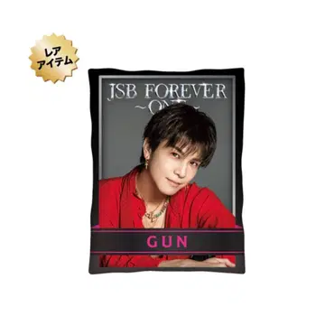 JSB FOREVER 이와타 타카노리 쿠션 세트