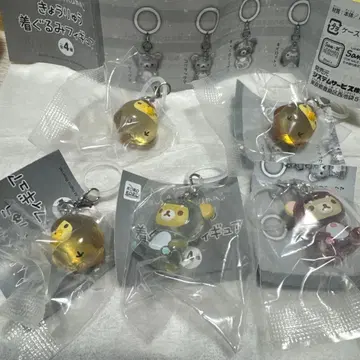 리락쿠마 공룡 인형옷 피규어 메지루시 액세서리 5개 세트 미개봉