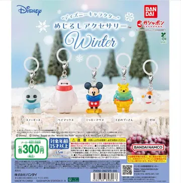 디즈니 메지루시 액세서리 WINTER 컴플리트