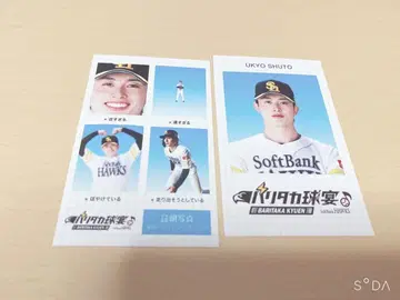 호크스 팬페스티벌 시크릿 증명사진풍 스마로이드 슈토 유쿄