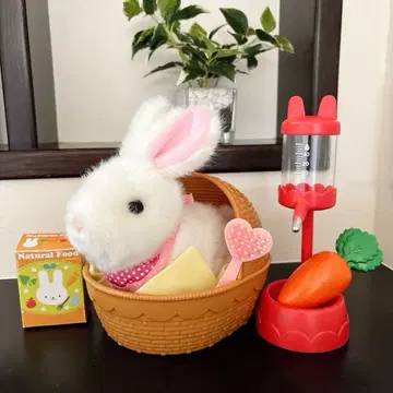 토끼 인형 토끼 돌봄 세트 완구 움직이는 완구