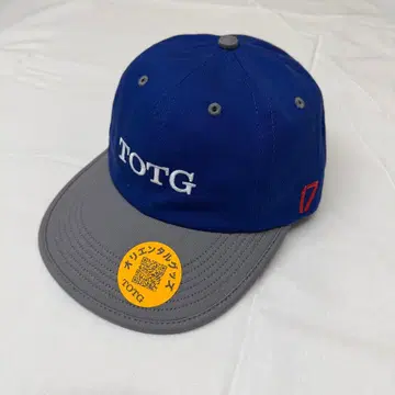 TOTG 캡