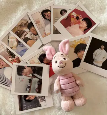 채종협 시그리 포토 카드와 피그레드