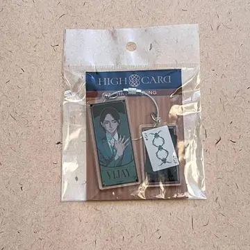 미사용 미개봉 새상품 HIGH CARD 비자이 와이어 키링