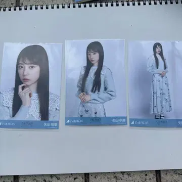 노기자카46 야타 모에카 카라 부착 코디 브로마이드 컴프