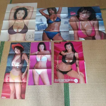 네모토 하루미 포스터, 핀업 6종