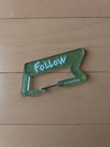 seventeen follow again 정한 카라비너