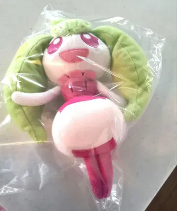 포켓몬스터 빅 봉제 인형 아마마이코