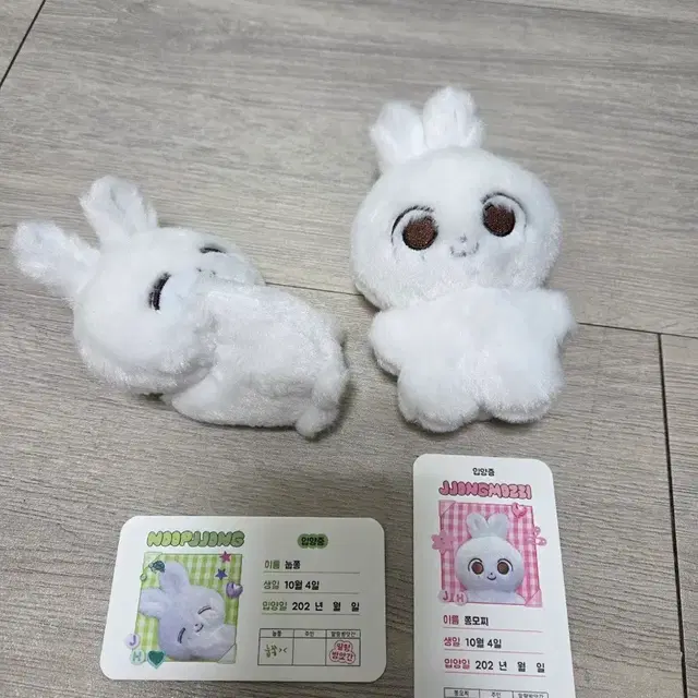 (급전)세븐틴 정한 쫑모찌/눕쫑 양도