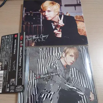 Yes / Acid Black Cherry