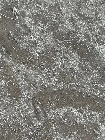 디즈니 프린세스 뉴 스토리 2