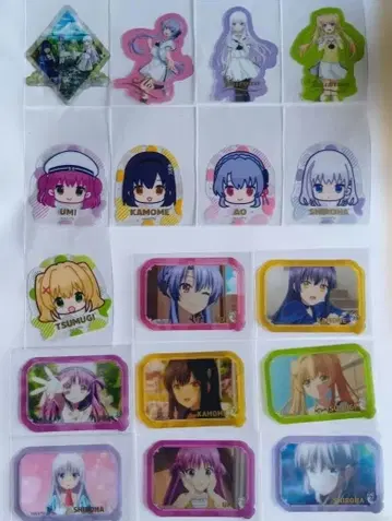 썸머 포켓츠 다이컷 클리어 스티커 세트