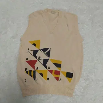 빈티지 니트 베스트 SALERS MENS BIGI