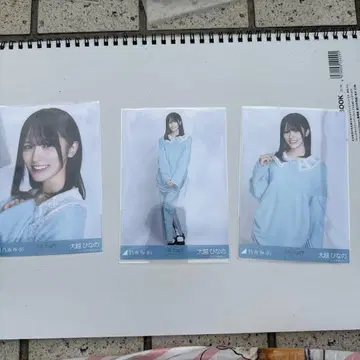 노기자카46 브로마이드 오오코시 히나노 컴프 카라 부착 코디