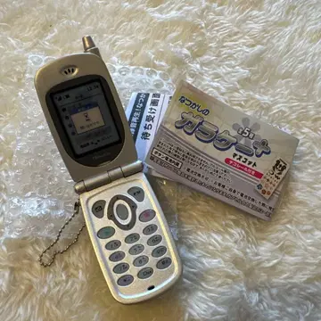 그리운 가라 케이프 플러스