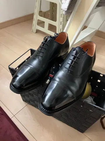 스코치 그레인 R1766 25cm 샤인 오어 레인 스트레이트 팁