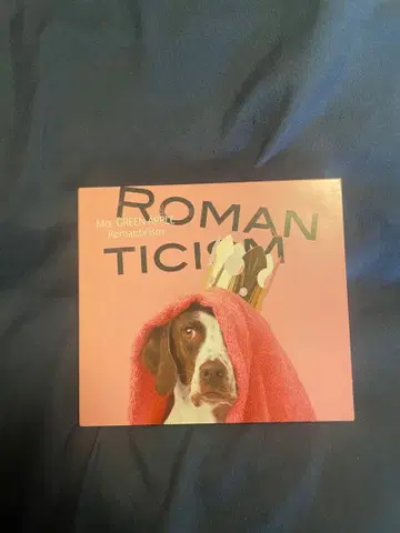 Mrs. GREEN APPLE 로맨티시즘 2장 세트