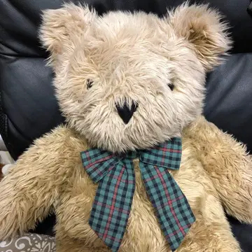 곰 봉제 인형 대