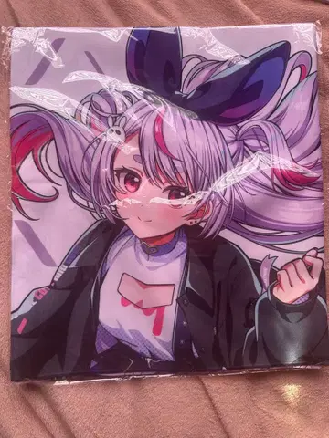 브이스포! 페스티벌 리버서블 크로스 토사키 미미