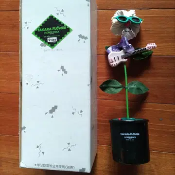 타카라 플라워 록 기타 꽃 캐릭터