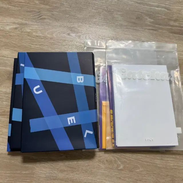 루시 LUCY 갓챠 블루 앨범 양도