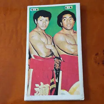 [ 프로레슬링 ] 킹 하쿠 프린스 통가 프로레슬링 대스모 시대의 딱지