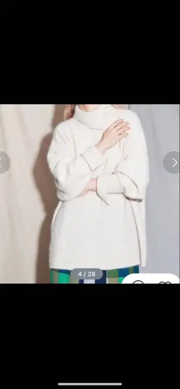 카프 폭스 터틀