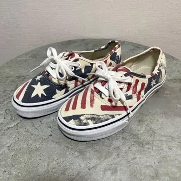 VANS 미국 국기 패턴 로우컷 스니커즈