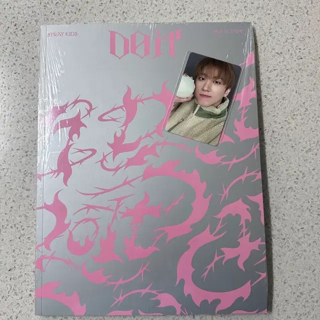 스트레이키즈 스키즈 두잇 앨범+창빈 포카 양도