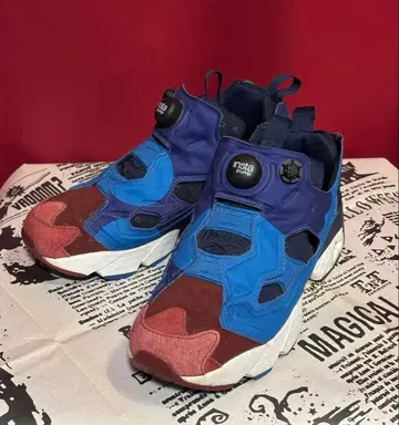 리복 펌프 퓨리