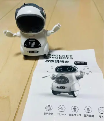 RC-01 영어 음성 인식 로봇