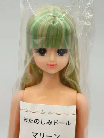 마린 리카짱 캐슬 오타노시미 인형 연두 금발 계열 제니 프렌드