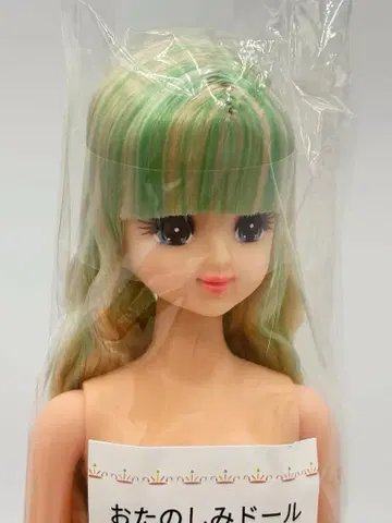 마린 리카짱 캐슬 오타노시미 인형 연두 금발 계열 제니 프렌드